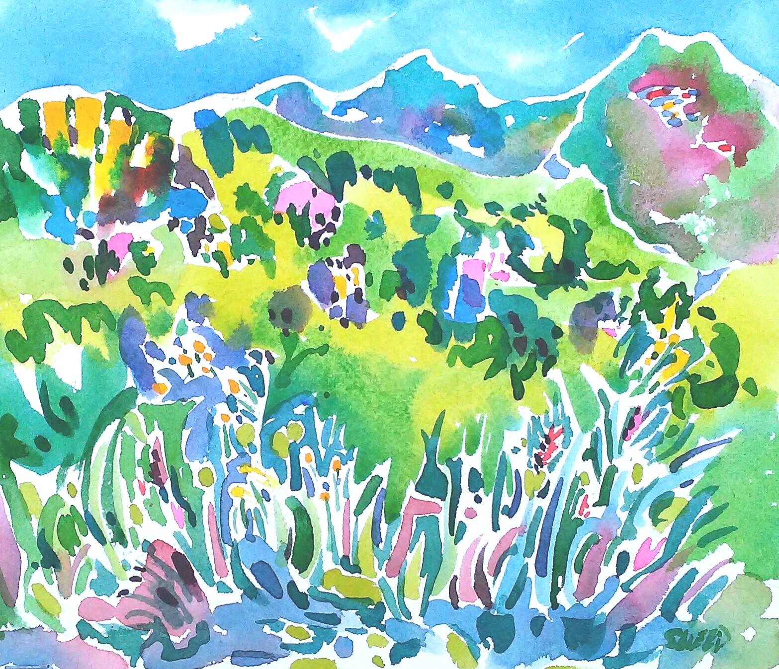 20170501_Bonita Vista.jpg