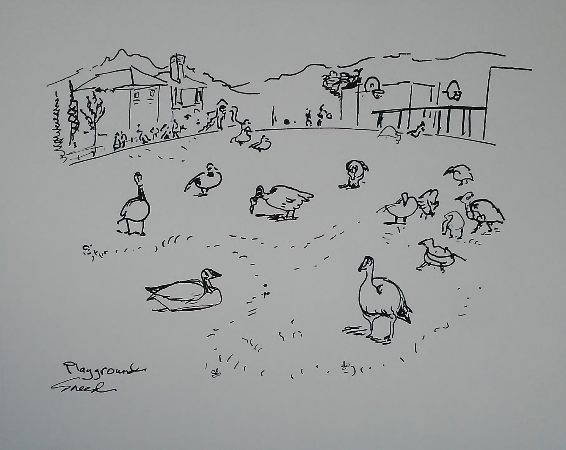Playground.Canada Geese.20181017