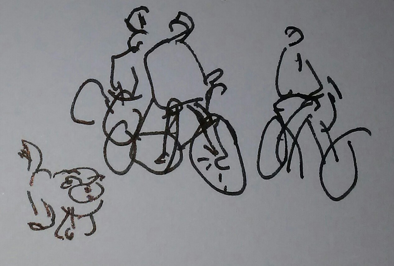 Bicyclists with Dog_20190226