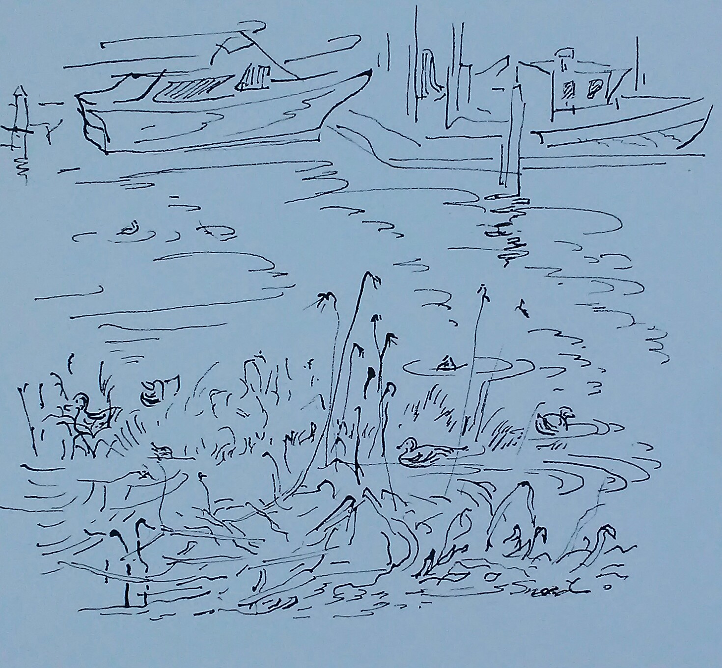 Emeryville Marina Shore_5 in x 8 in_20190218