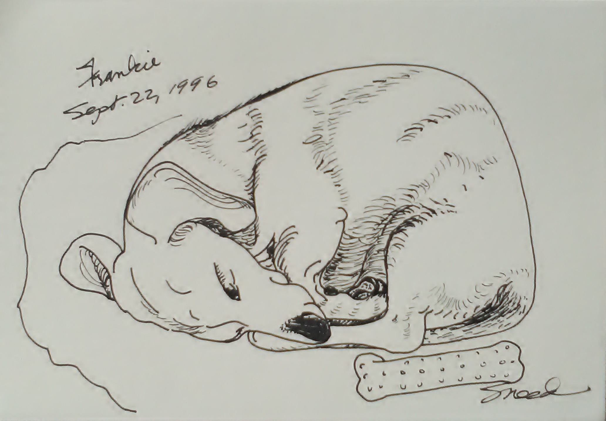 Frankie Curled Up with a Bone_1996