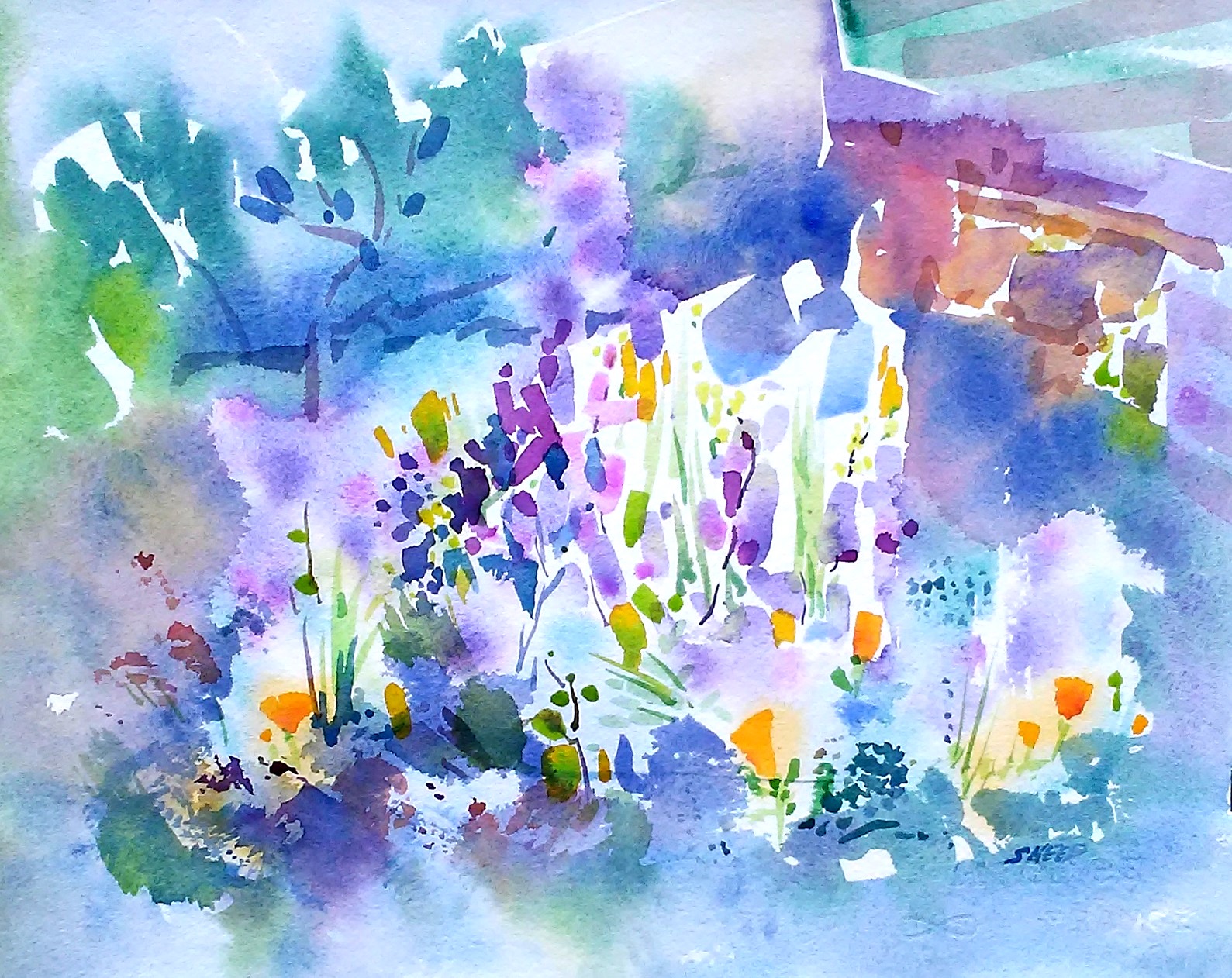 Regional Parks Botanic Garden, Tilden Park, 10 in x 13 in, 20190520.jpg