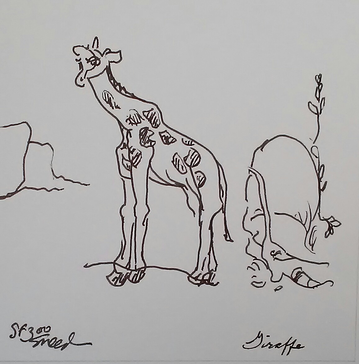 Waiting for Supper_Giraffe_20190315.jpg